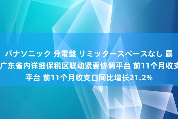 パナソニック 分電盤 リミッタースペースなし 露出・半埋込両用形 广东省内详细保税区联动紧要协调平台 前11个月收支口同比增长21.2%