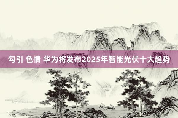 勾引 色情 华为将发布2025年智能光伏十大趋势