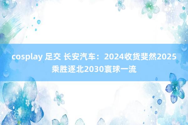 cosplay 足交 长安汽车：2024收货斐然2025乘胜逐北2030寰球一流