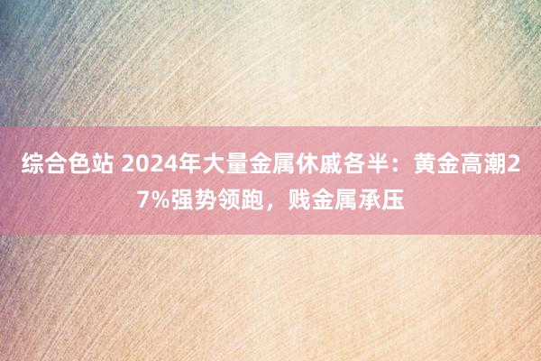 综合色站 2024年大量金属休戚各半：黄金高潮27%强势领跑，贱金属承压