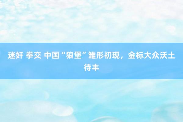 迷奸 拳交 中国“狼堡”雏形初现，金标大众沃土待丰