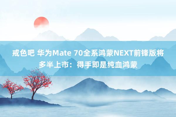 戒色吧 华为Mate 70全系鸿蒙NEXT前锋版将多半上市：得手即是纯血鸿蒙