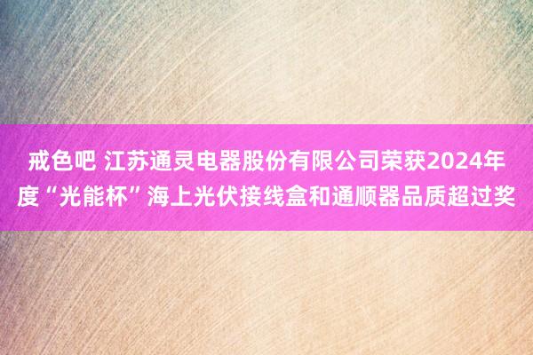 戒色吧 江苏通灵电器股份有限公司荣获2024年度“光能杯”海上光伏接线盒和通顺器品质超过奖