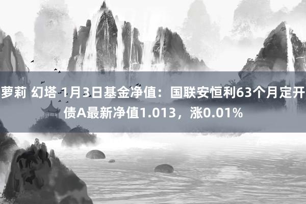 萝莉 幻塔 1月3日基金净值：国联安恒利63个月定开债A最新净值1.013，涨0.01%