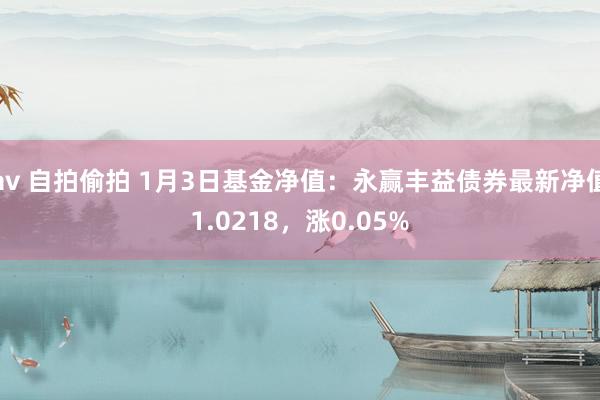 av 自拍偷拍 1月3日基金净值：永赢丰益债券最新净值1.0218，涨0.05%