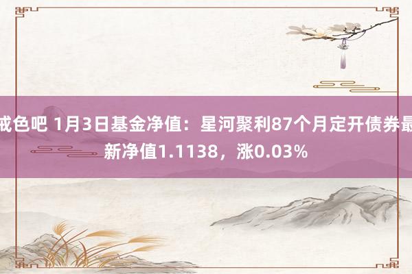 戒色吧 1月3日基金净值：星河聚利87个月定开债券最新净值1.1138，涨0.03%