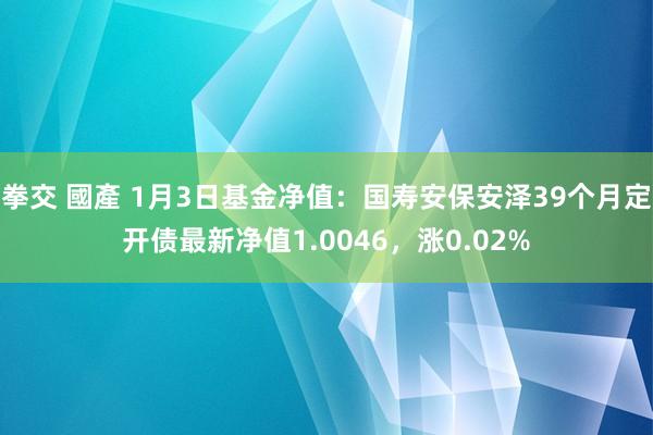 拳交 國產 1月3日基金净值：国寿安保安泽39个月定开债最新净值1.0046，涨0.02%