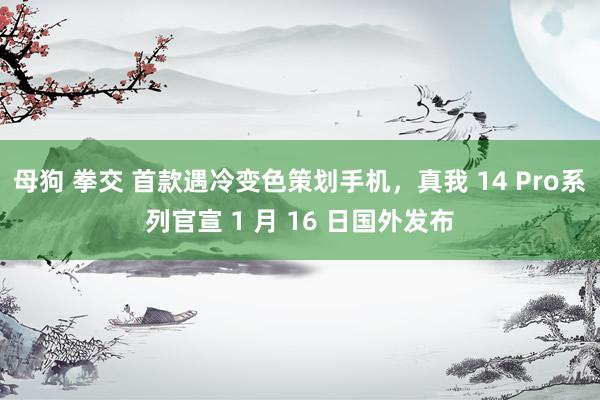 母狗 拳交 首款遇冷变色策划手机，真我 14 Pro系列官宣 1 月 16 日国外发布