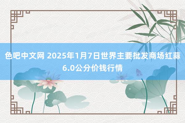 色吧中文网 2025年1月7日世界主要批发商场红蒜6.0公分价钱行情