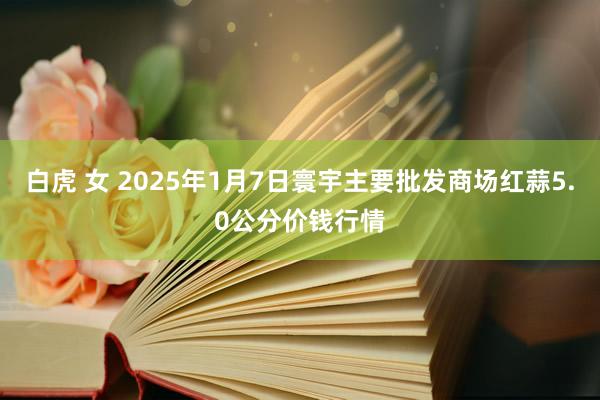 白虎 女 2025年1月7日寰宇主要批发商场红蒜5.0公分价钱行情