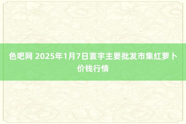 色吧网 2025年1月7日寰宇主要批发市集红萝卜价钱行情