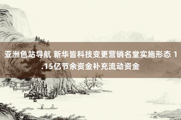 亚洲色站导航 新华皆科技变更营销名堂实施形态 1.15亿节余资金补充流动资金