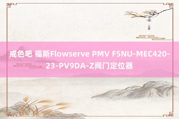 戒色吧 福斯Flowserve PMV F5NU-MEC420-23-PV9DA-Z阀门定位器