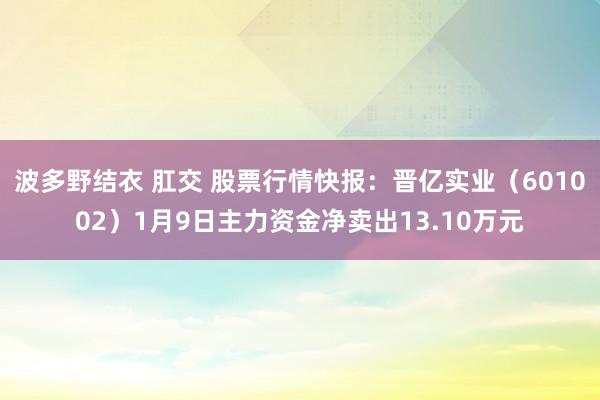 波多野结衣 肛交 股票行情快报：晋亿实业（601002）1月9日主力资金净卖出13.10万元