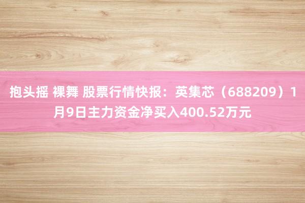 抱头摇 裸舞 股票行情快报：英集芯（688209）1月9日主力资金净买入400.52万元