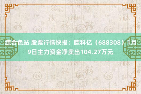 综合色站 股票行情快报：欧科亿（688308）1月9日主力资金净卖出104.27万元