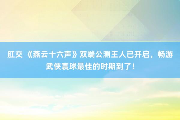 肛交 《燕云十六声》双端公测王人已开启，畅游武侠寰球最佳的时期到了！