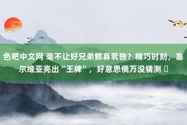 色吧中文网 毫不让好兄弟鳏寡茕独？精巧时刻，塞尔维亚亮出“王牌”，好意思俄万没猜测 ​