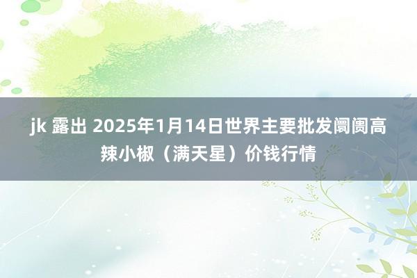 jk 露出 2025年1月14日世界主要批发阛阓高辣小椒（满天星）价钱行情