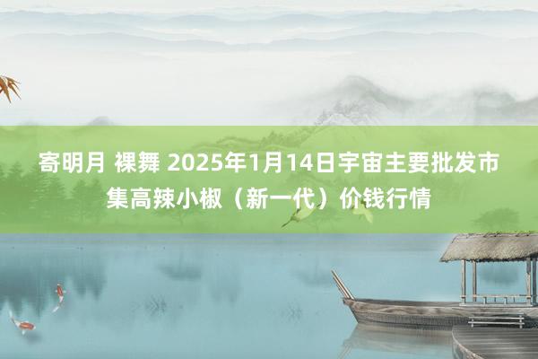 寄明月 裸舞 2025年1月14日宇宙主要批发市集高辣小椒（新一代）价钱行情