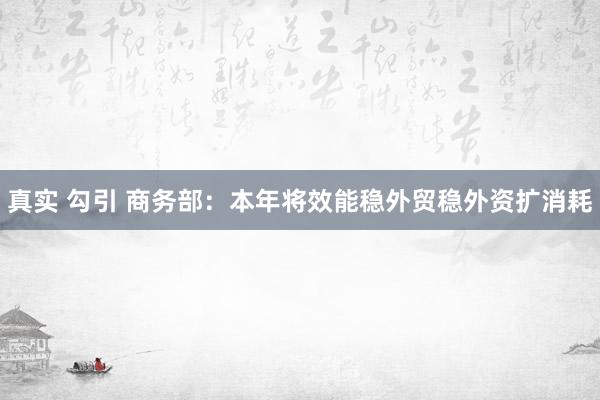 真实 勾引 商务部：本年将效能稳外贸稳外资扩消耗