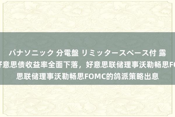 パナソニック 分電盤 リミッタースペース付 露出・半埋込両用形 好意思债收益率全面下落，好意思联储理事沃勒畅思FOMC的鸽派策略出息