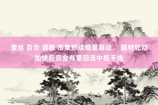 蕾丝 百合 调教 市集抓续缩量颤动， 题材轮动加快后资金有望回流中枢干线