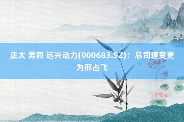 正太 男同 远兴动力(000683.SZ)：总司理变更为邢占飞