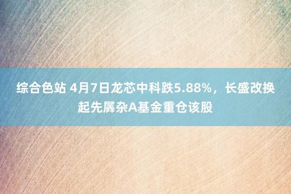 综合色站 4月7日龙芯中科跌5.88%，长盛改换起先羼杂A基金重仓该股