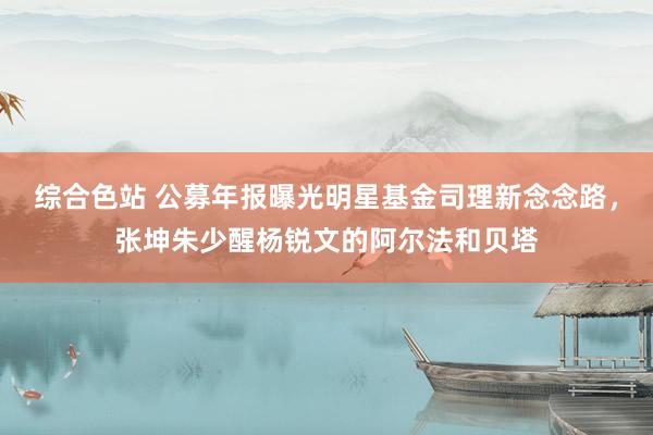 综合色站 公募年报曝光明星基金司理新念念路，张坤朱少醒杨锐文的阿尔法和贝塔
